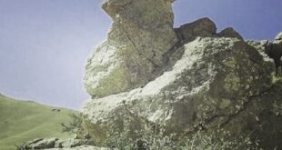 نماد خروس در گنج یابی